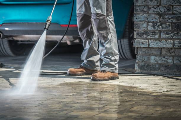 Best Gutter Cleaning  in Wayne, MI
