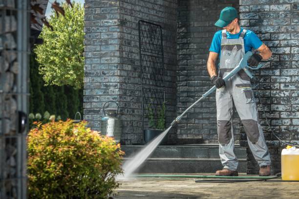 Best Gutter Cleaning  in Wayne, MI
