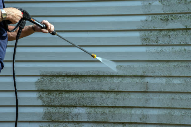 Professional Pressure Washing Services in Wayne, MI