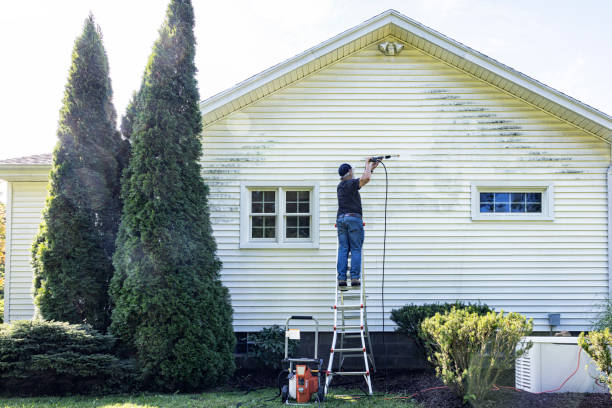 Best Solar Panel Cleaning  in Wayne, MI