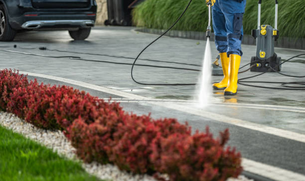 Best Patio and Deck Pressure Washing  in Wayne, MI